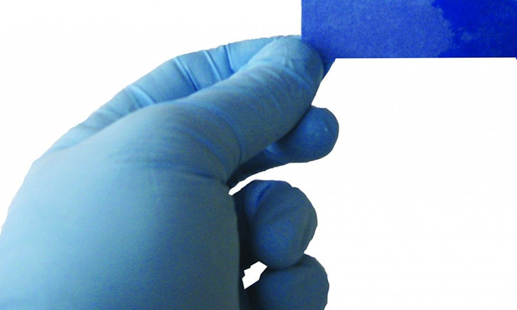 Hand with gloves holding up a hydrocarbon detection strip